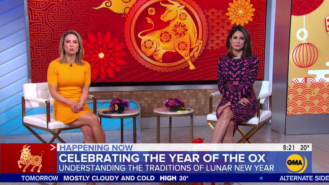 Good Morning America S2021E50 2021-02-12-0700 (17).png