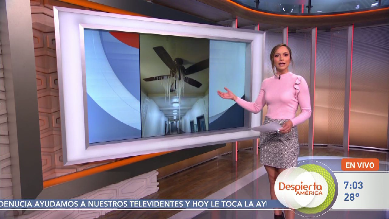 ¡Despierta América! S2021E40 2021-02-18-0700 (26).png