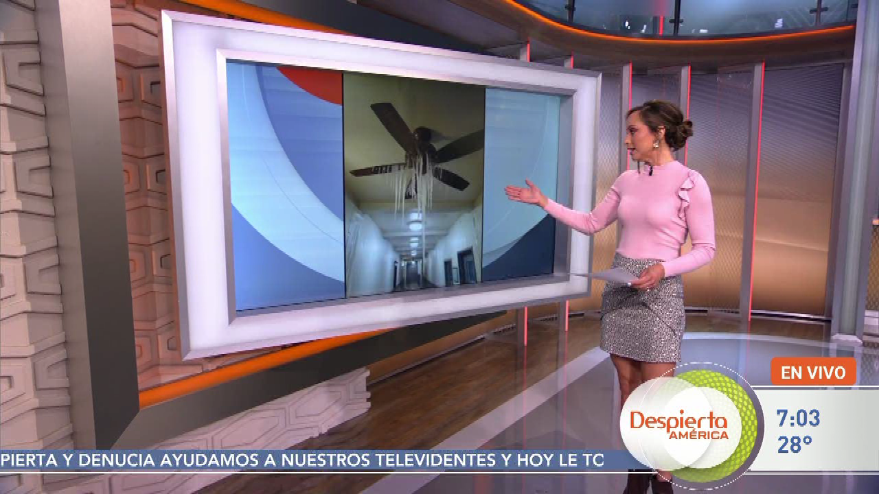¡Despierta América! S2021E40 2021-02-18-0700 (25).png