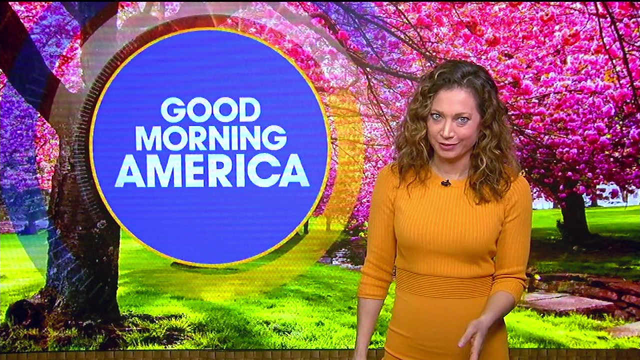 Good Morning America S2021E94 2021-03-22-0700 (19).png