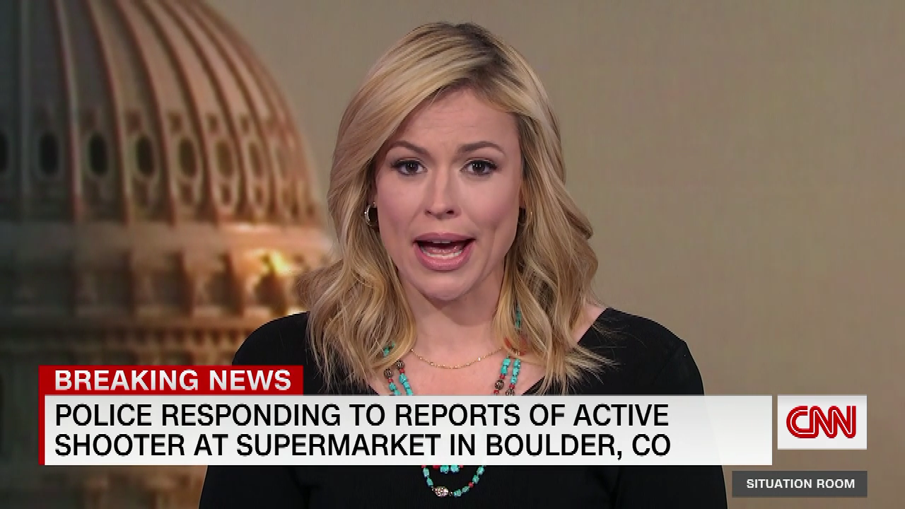 Pamela Brown Reporter