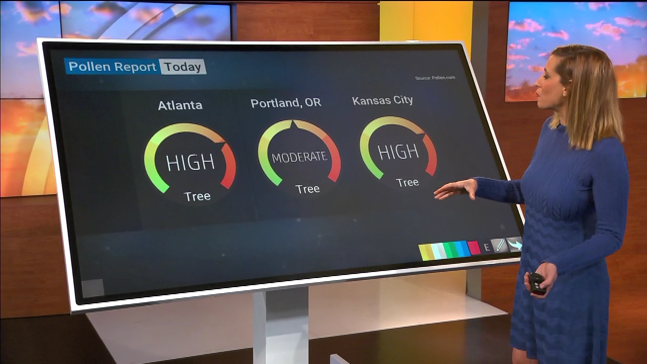 AMHQ 2021-04-05-0700 (08).png