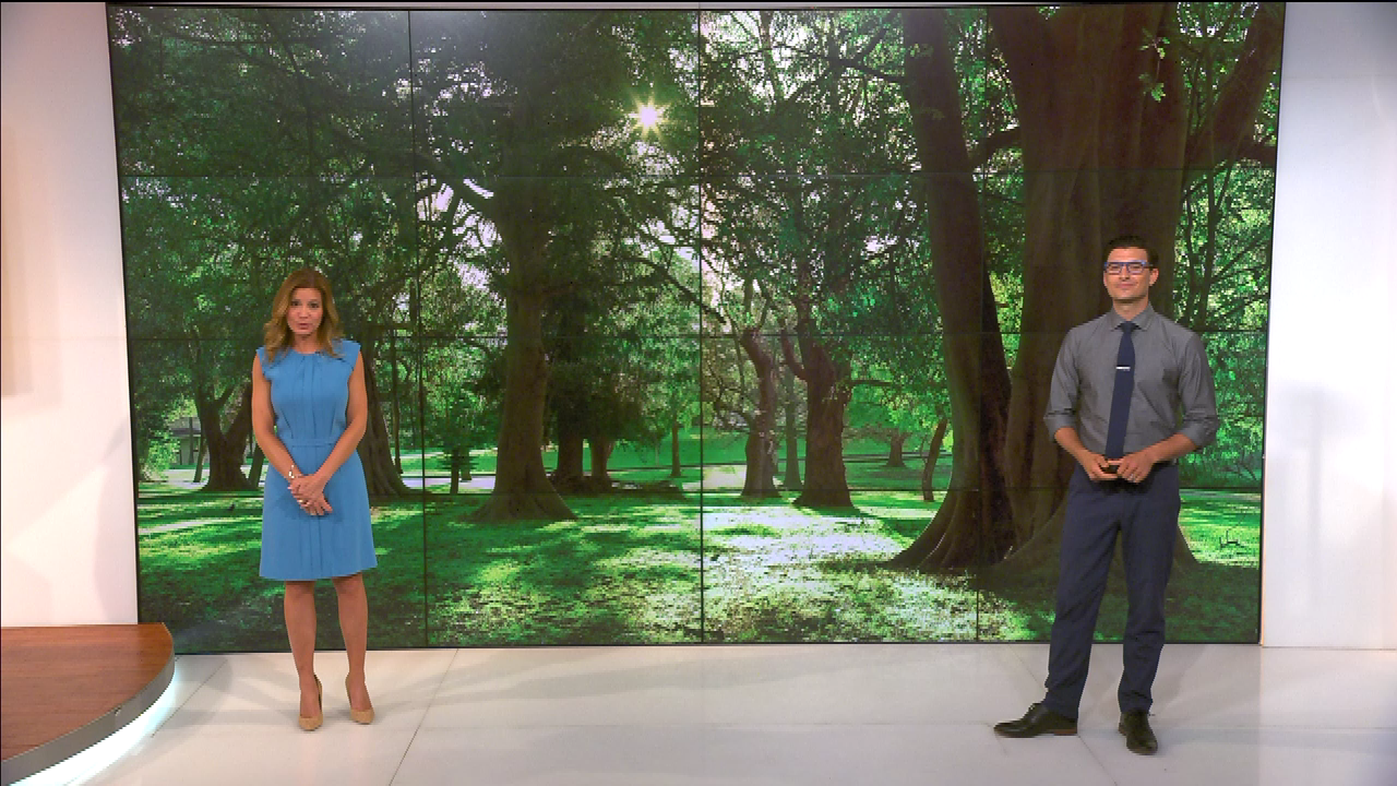 AMHQ Early 2021-04-30-0600.png