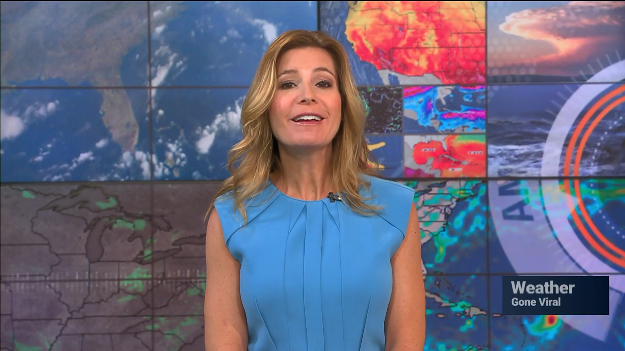 AMHQ Early 2021-04-30-0600 (07).png