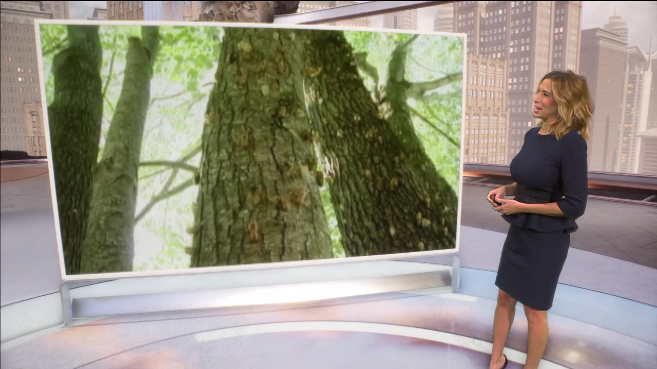 AMHQ Early 2021-05-11-0600 (05).png