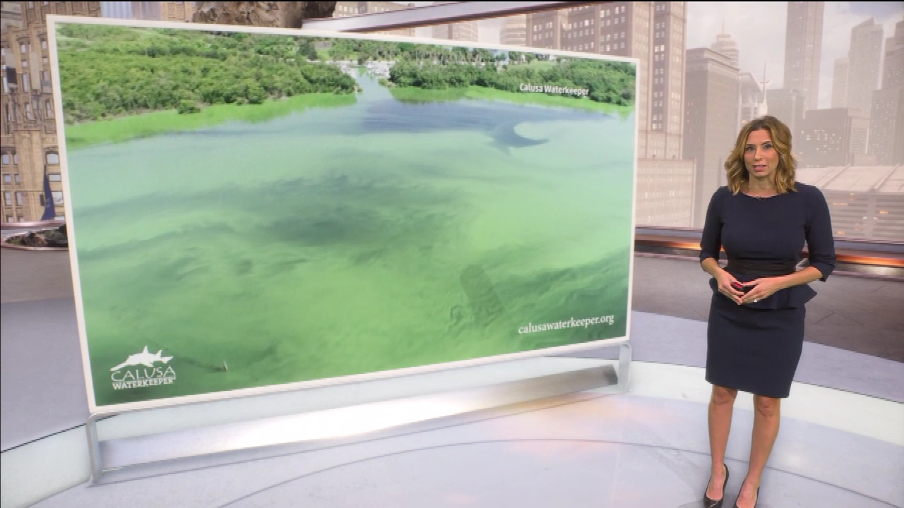 AMHQ Early 2021-05-11-0600 (04).png