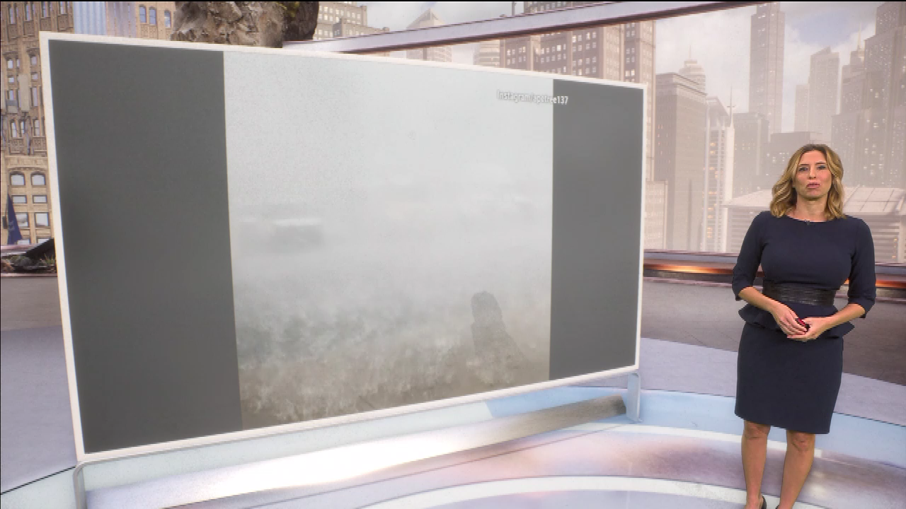 AMHQ Early 2021-05-11-0600 (03).png