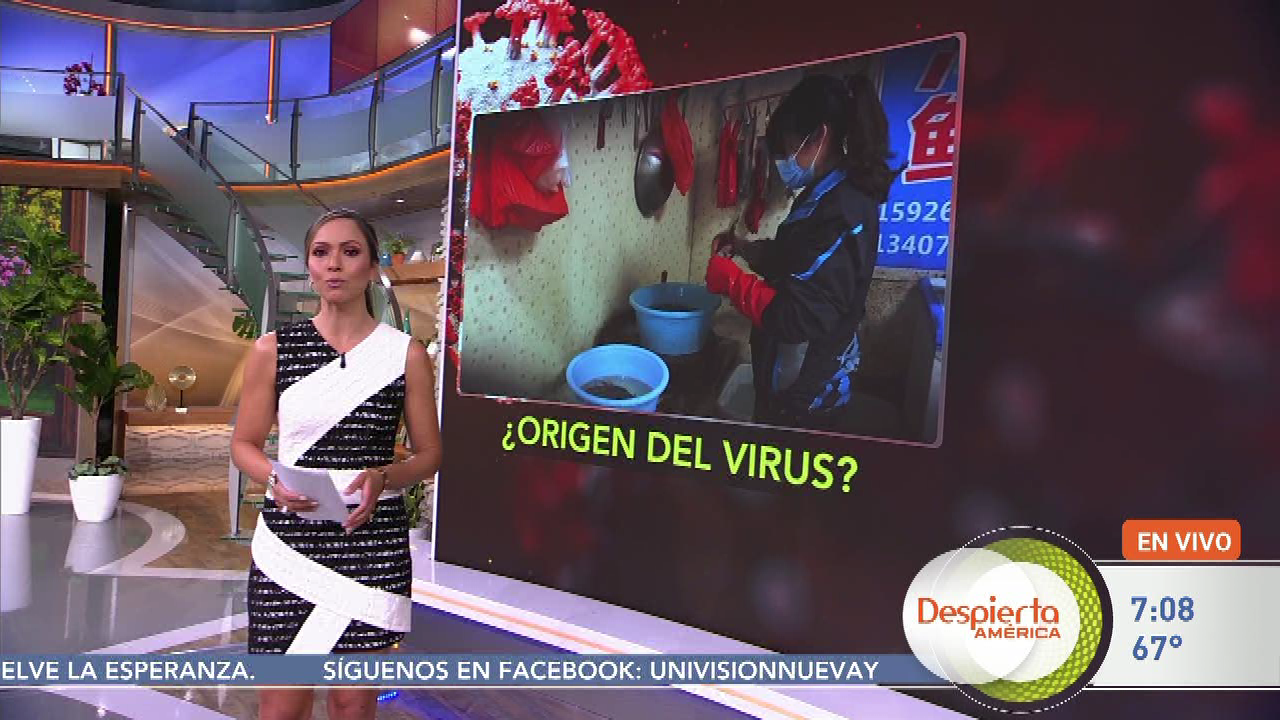 ¡Despierta América! S2021E115 2021-05-27-0700 (13).png