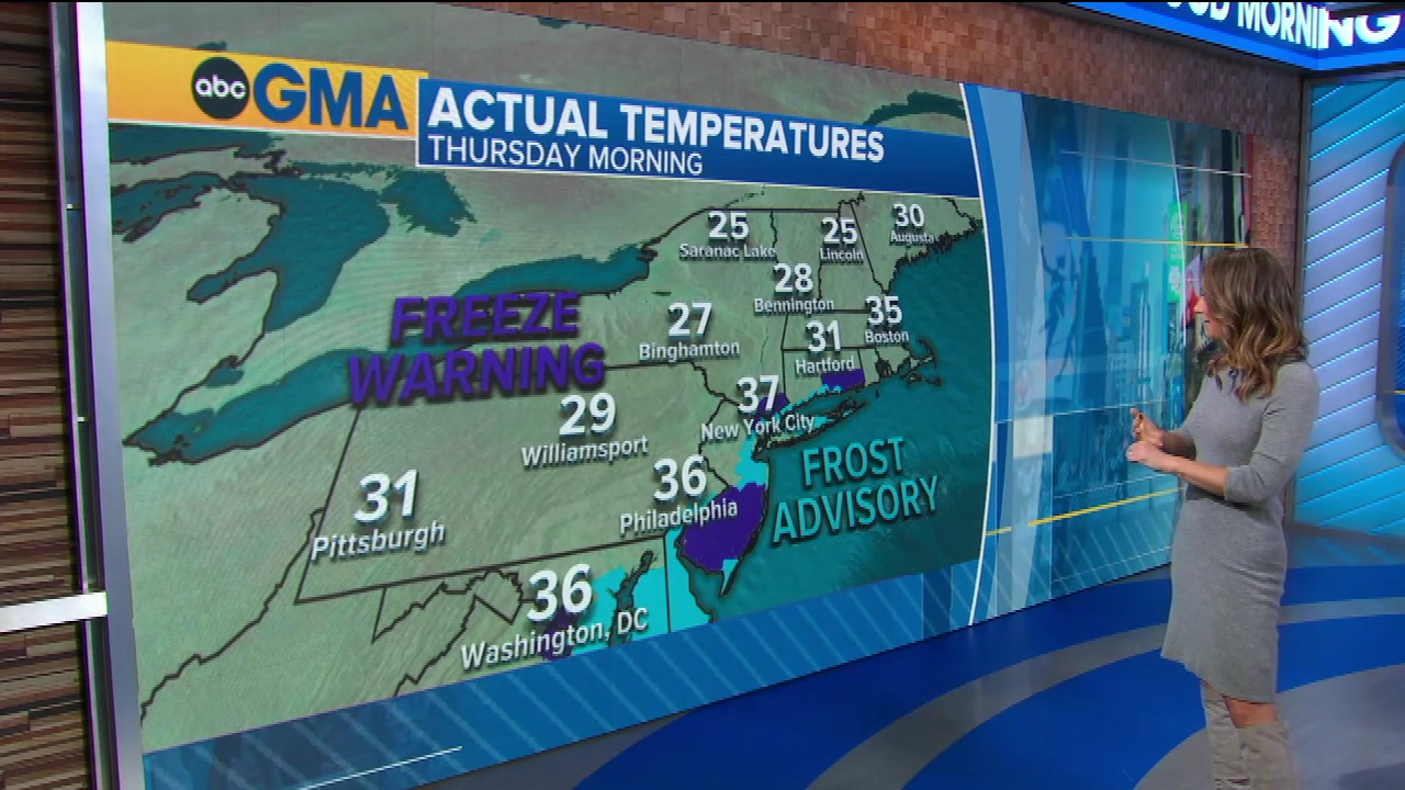 Ginger Zee (11/4/2021) — Newswomen