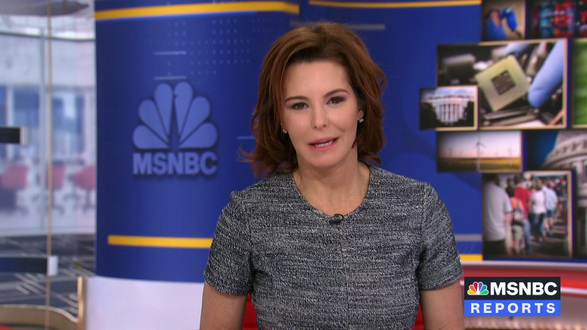 Stephanie Ruhle Reports 2022-01-10-0900 (12).png