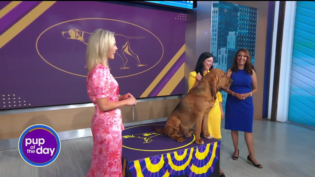 Good Morning America 2022-06-23-0700 (08).png