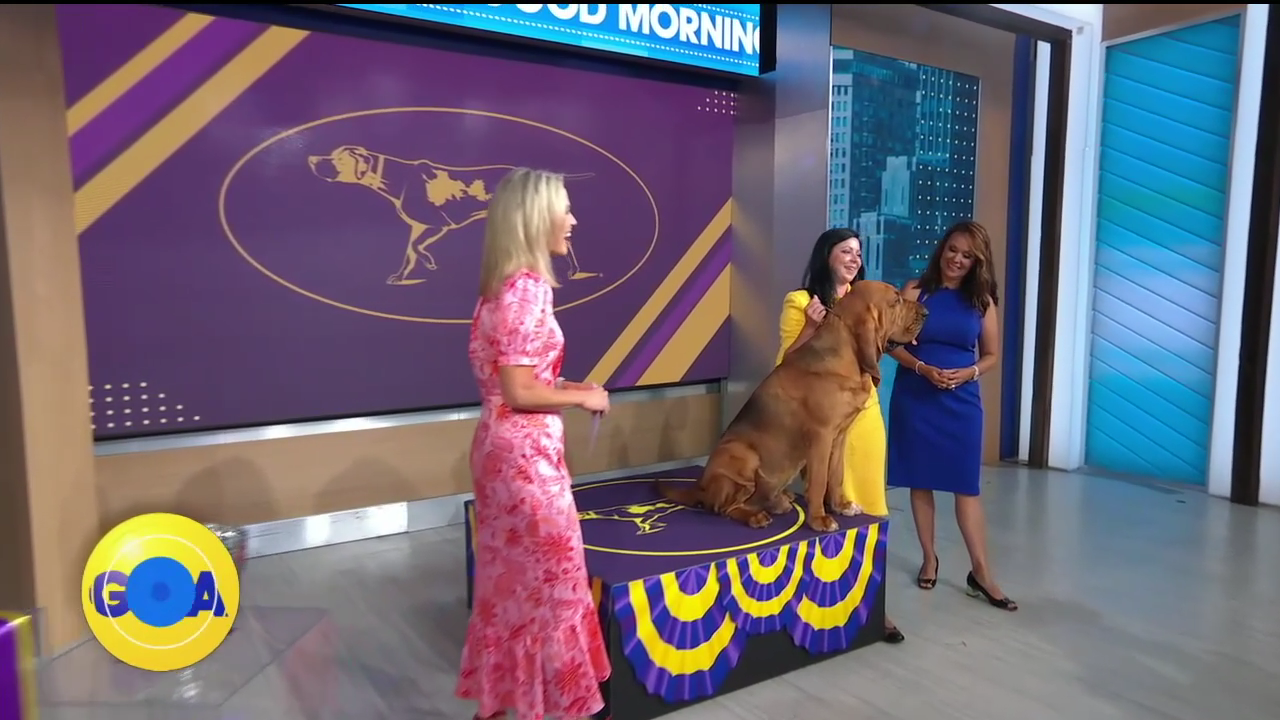 Good Morning America 2022-06-23-0700 (07).png