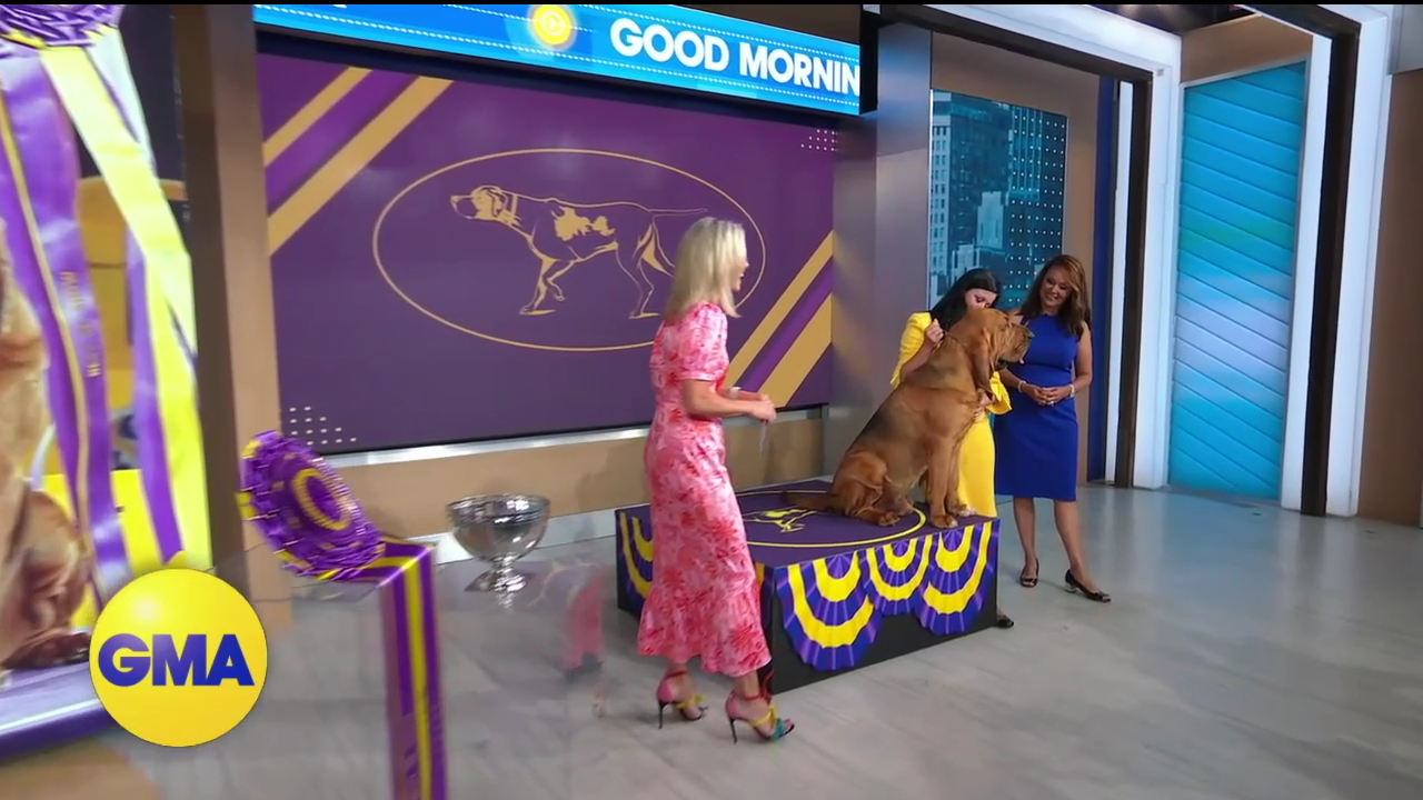 Good Morning America 2022-06-23-0700 (06).png