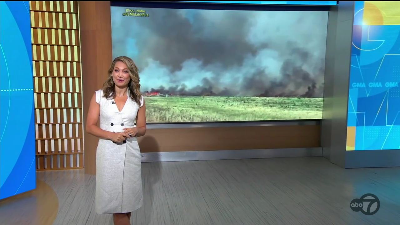 Good Morning America 2022-07-19-0700 (12).png