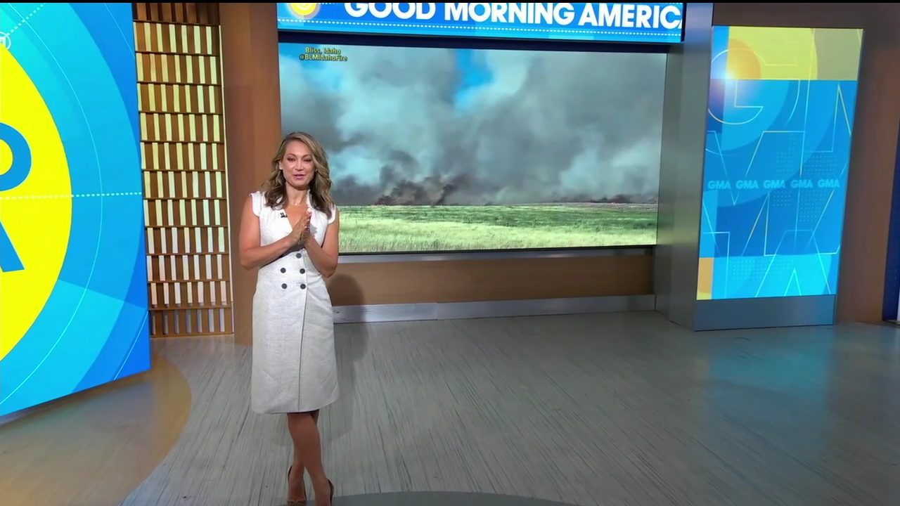 Good Morning America 2022-07-19-0700 (11).png