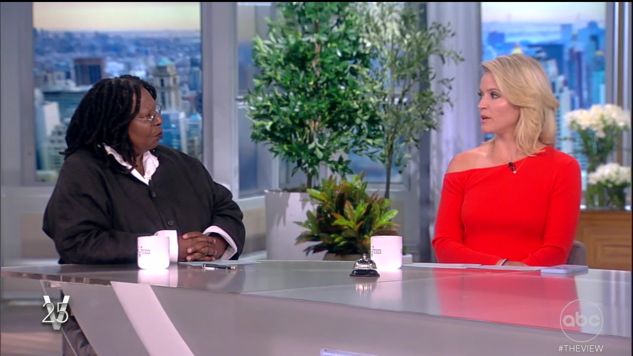 The View S25E200 2022-07-19-1100 (07).png