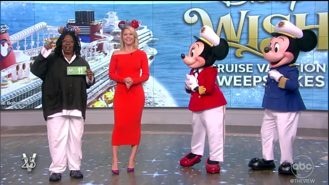 The View S25E200 2022-07-19-1100 (31).png