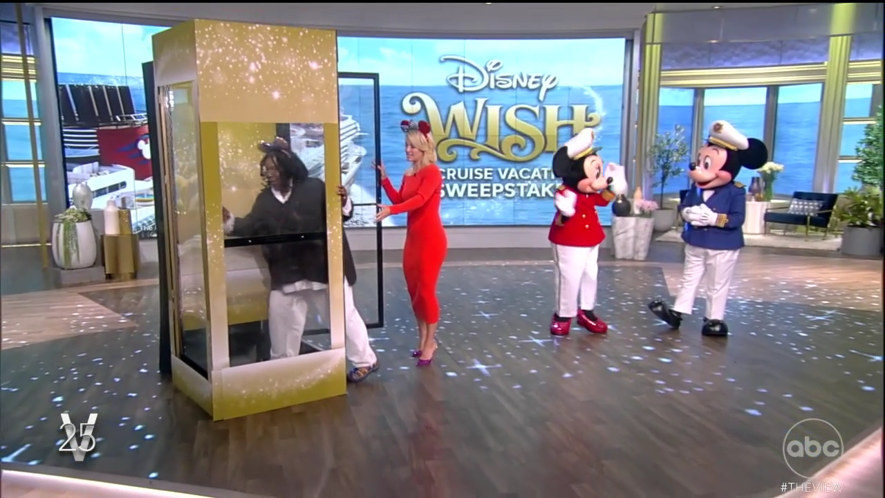 The View S25E200 2022-07-19-1100 (27).png