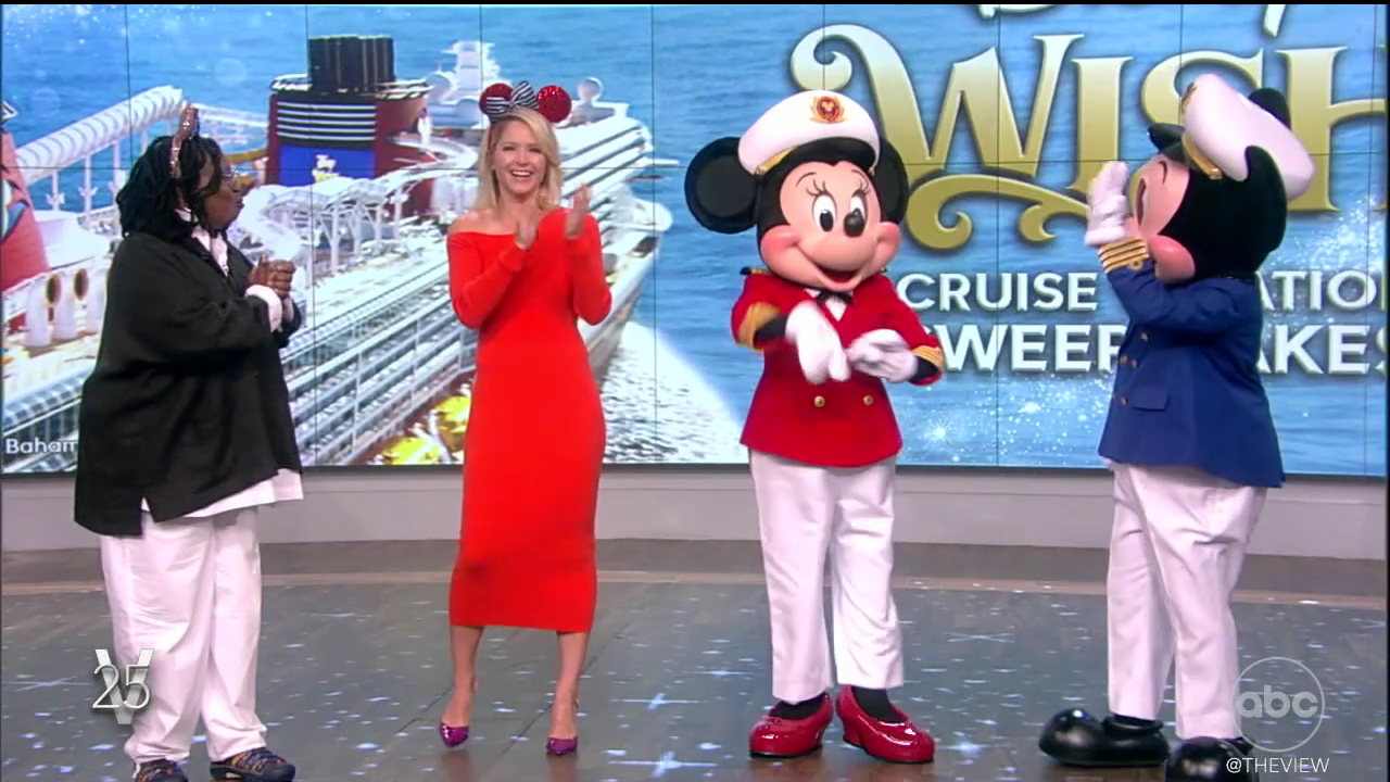 The View S25E200 2022-07-19-1100 (26).png