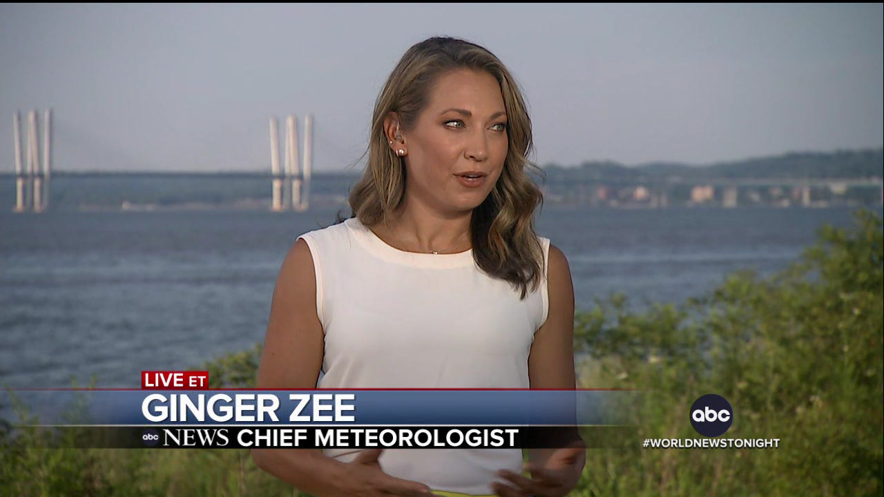 ABC World News Tonight With David Muir 2022-07-19-1830 (08).png