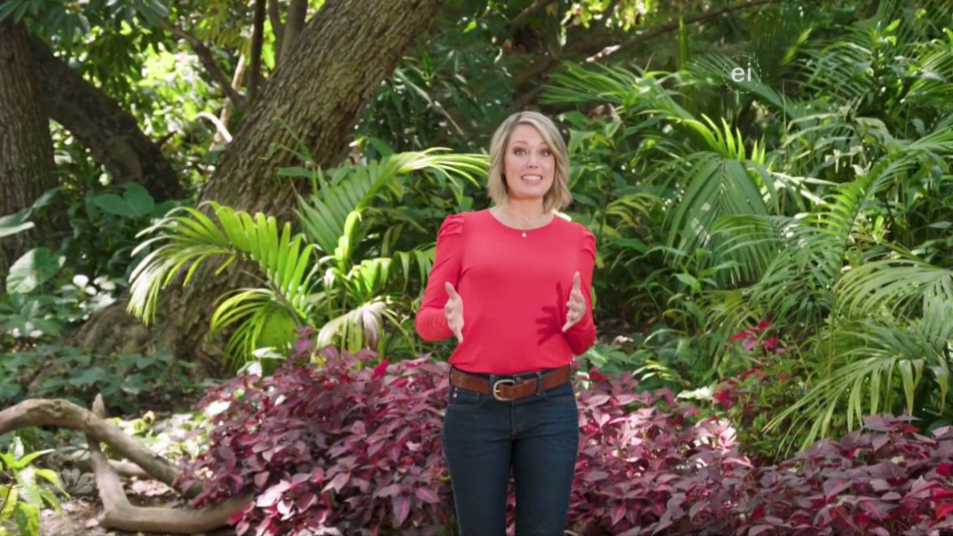 Earth Odyssey With Dylan Dreyer S04E38 British Columbia 2022-07-23-0630 (14).png