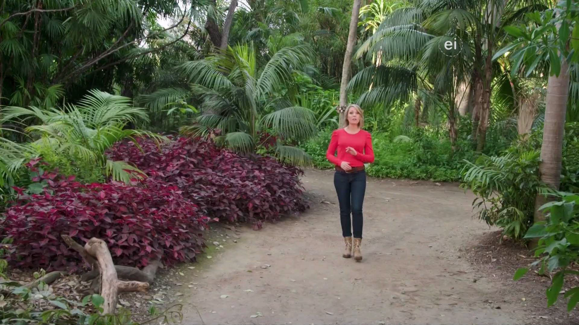Earth Odyssey With Dylan Dreyer S04E38 British Columbia 2022-07-23-0630 (03).png