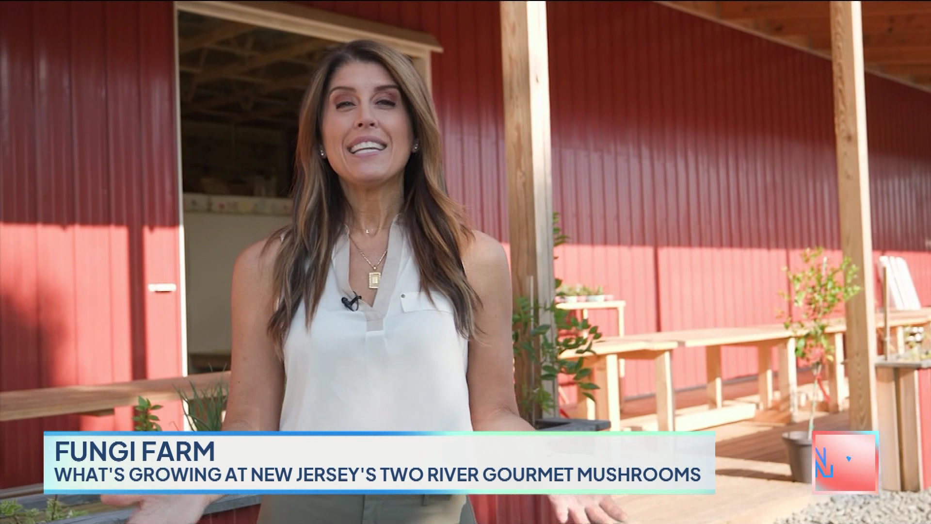 New York Live 2023-10-24-1130.png