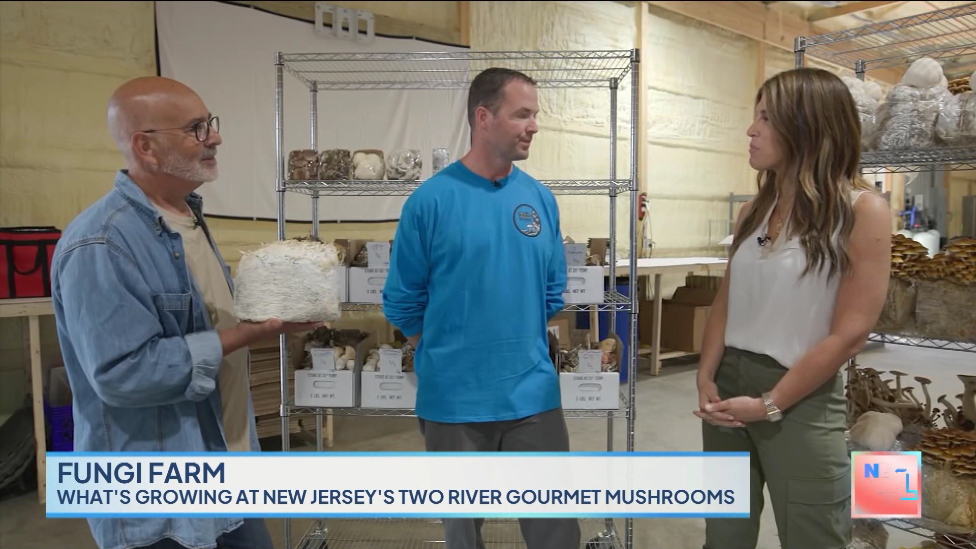 New York Live 2023-10-24-1130 (28).png