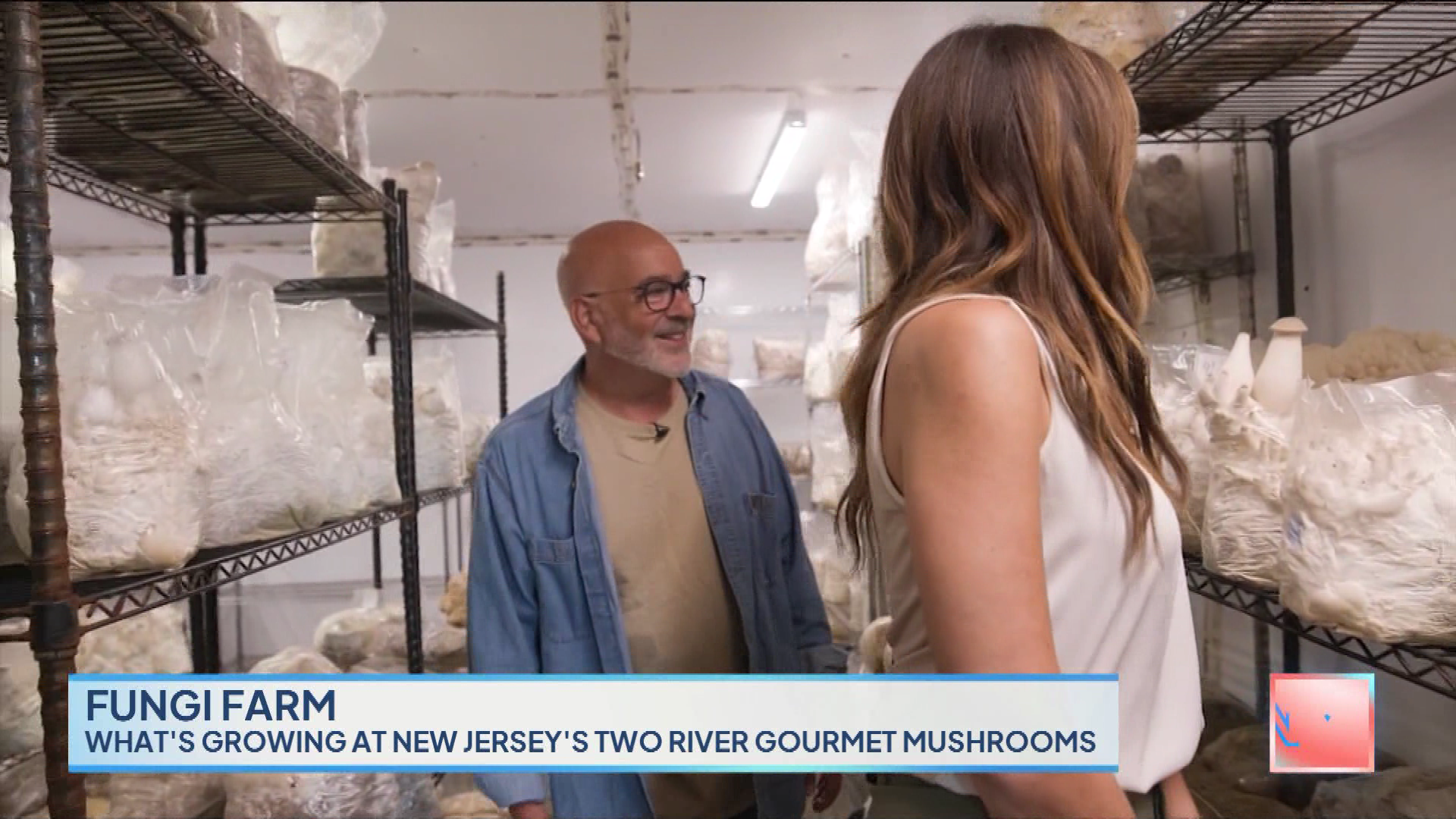 New York Live 2023-10-24-1130 (19).png