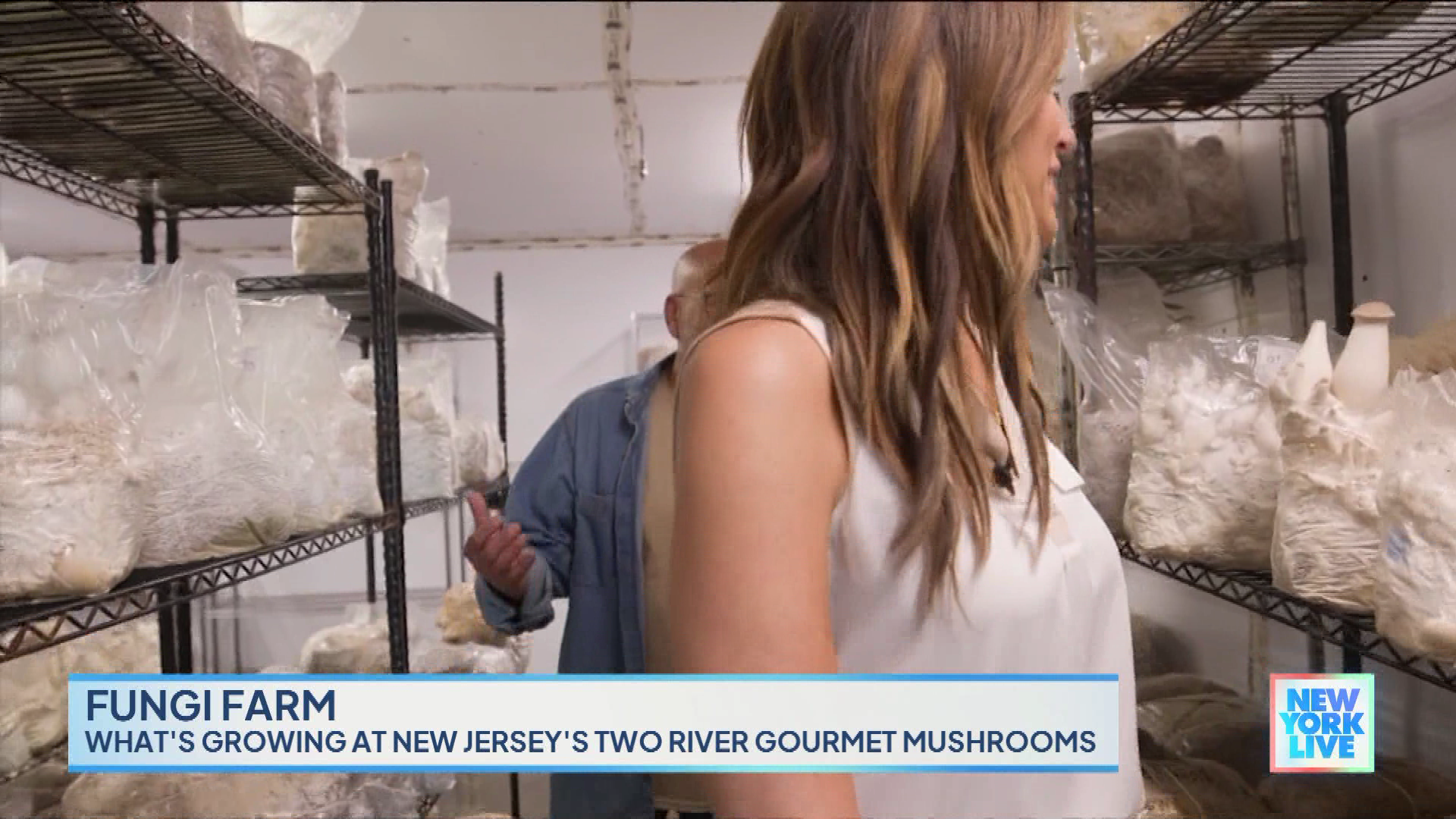 New York Live 2023-10-24-1130 (18).png