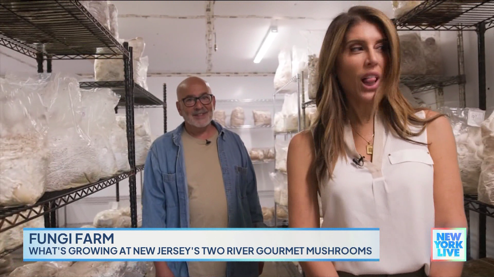 New York Live 2023-10-24-1130 (17).png