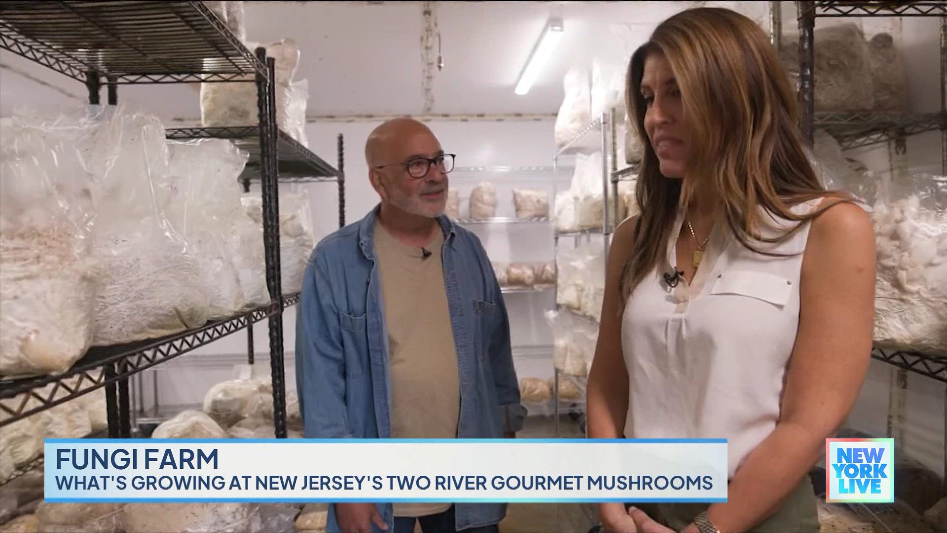 New York Live 2023-10-24-1130 (16).png