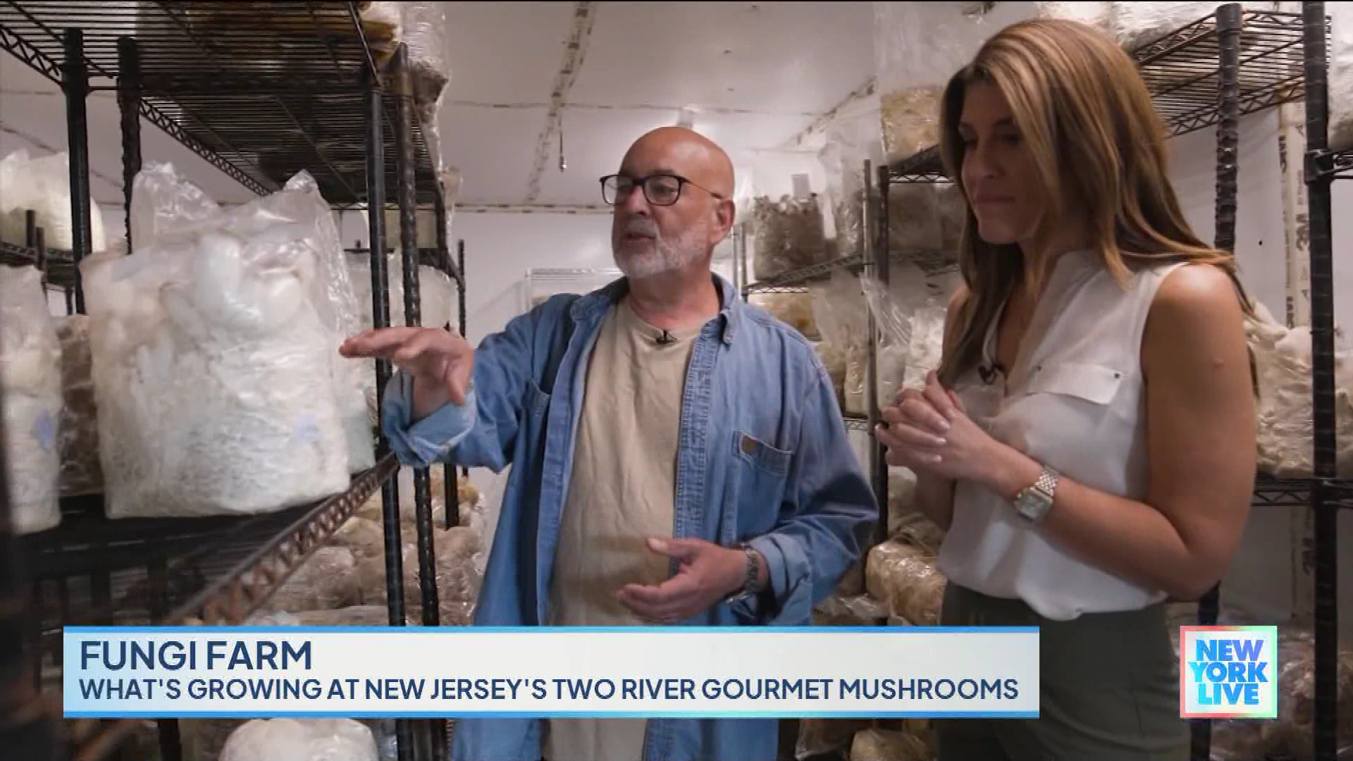 New York Live 2023-10-24-1130 (14).png