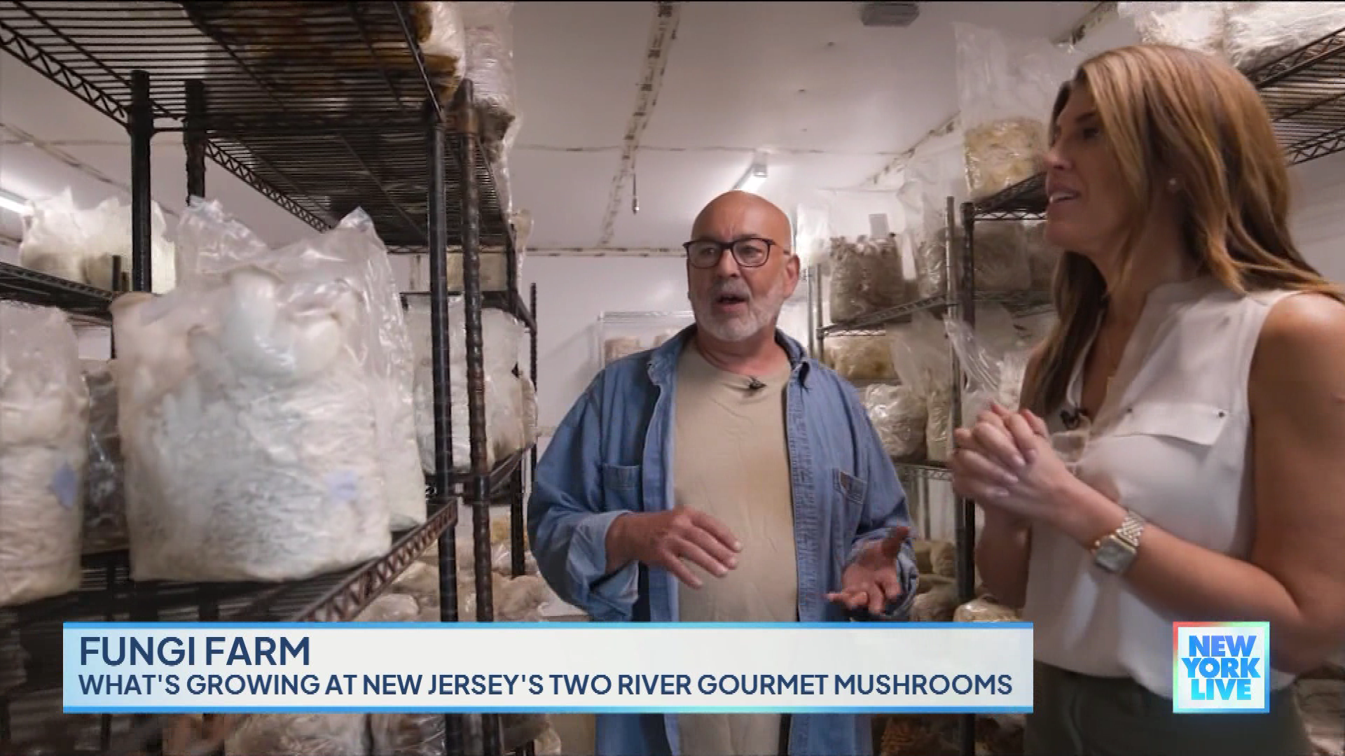 New York Live 2023-10-24-1130 (13).png