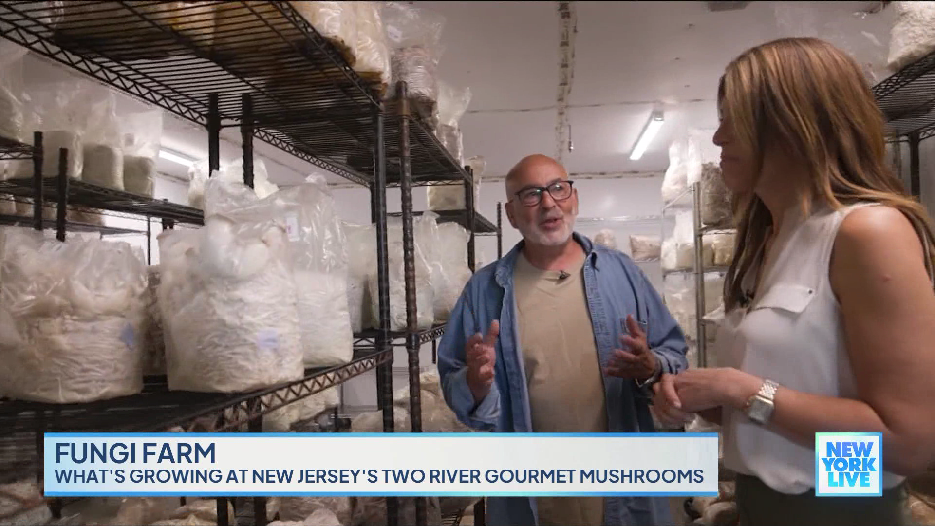 New York Live 2023-10-24-1130 (12).png