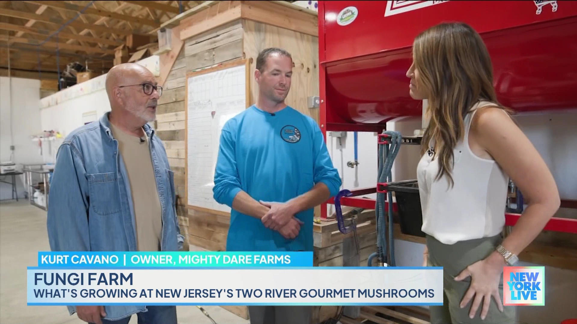 New York Live 2023-10-24-1130 (10).png