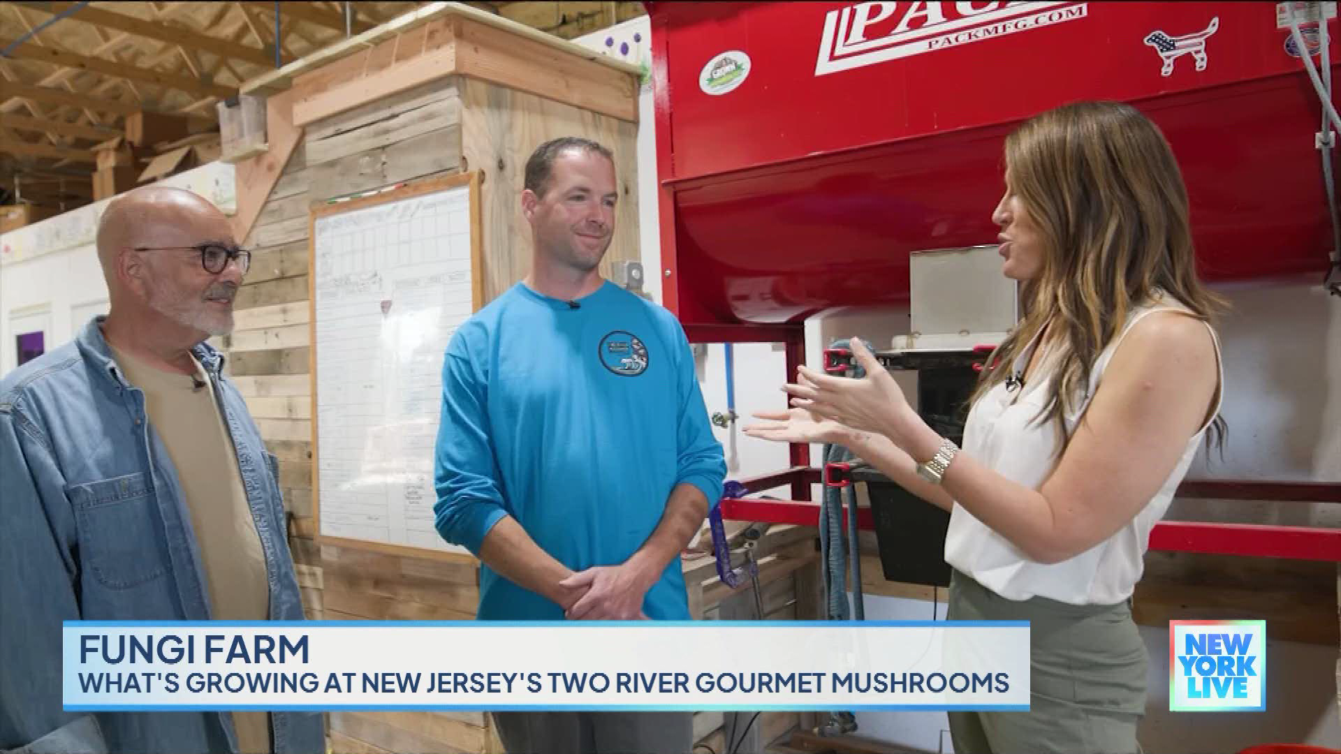 New York Live 2023-10-24-1130 (08).png