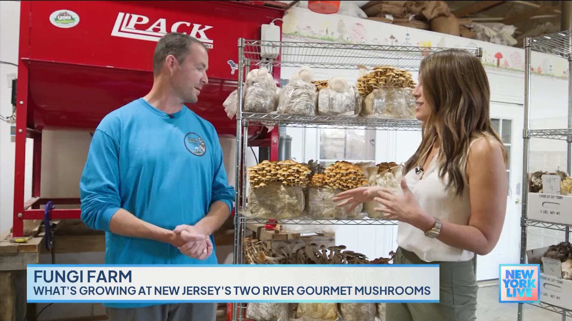 New York Live 2023-10-24-1130 (07).png