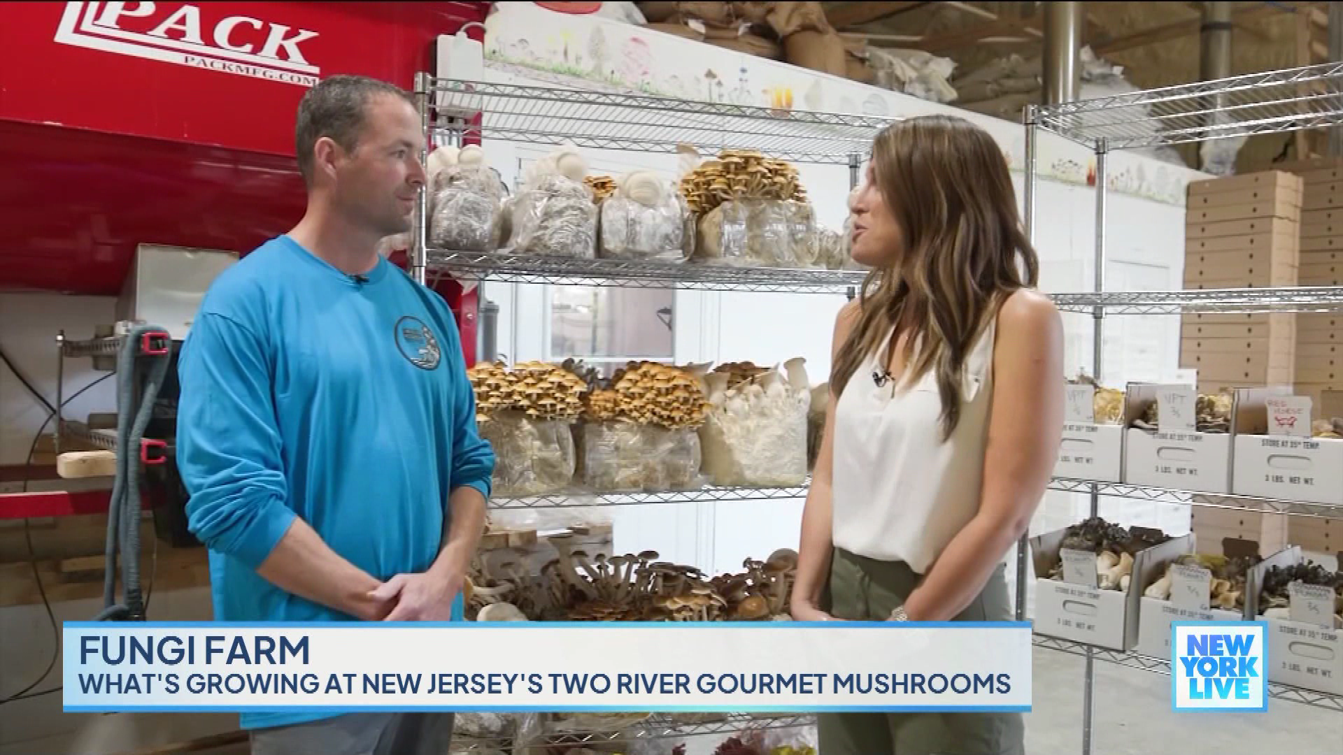 New York Live 2023-10-24-1130 (05).png