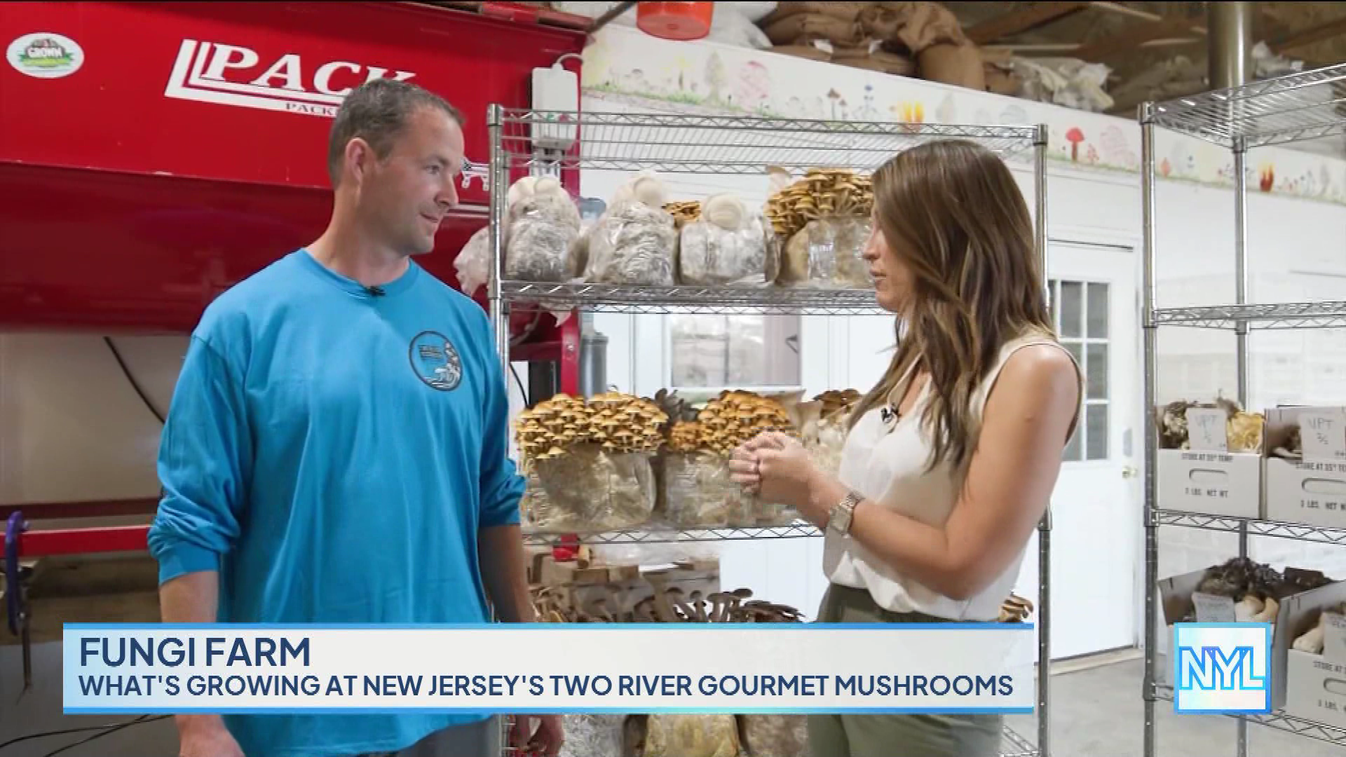 New York Live 2023-10-24-1130 (03).png