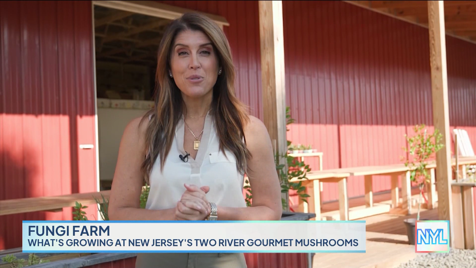 New York Live 2023-10-24-1130 (02).png