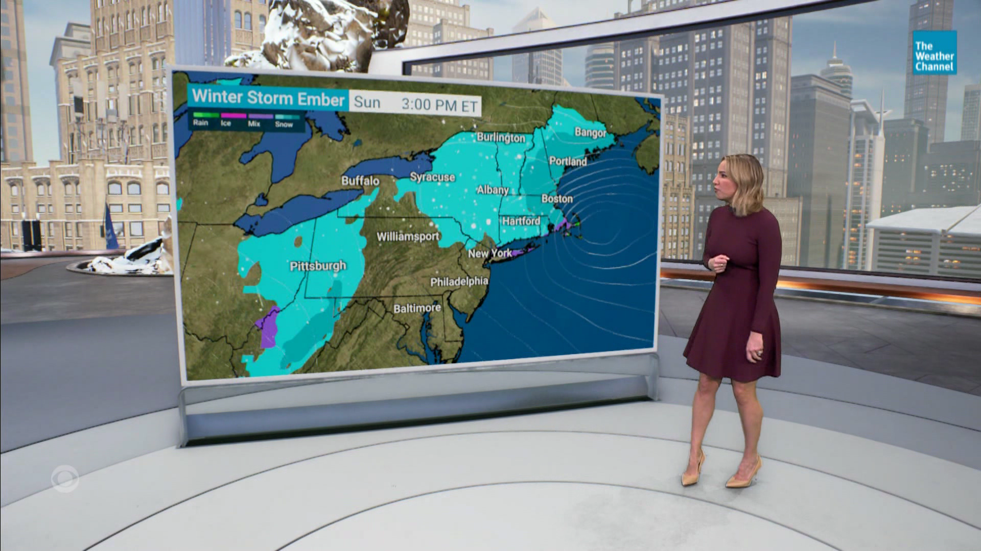 Alex Wilson (1/6/2024) — Newswomen
