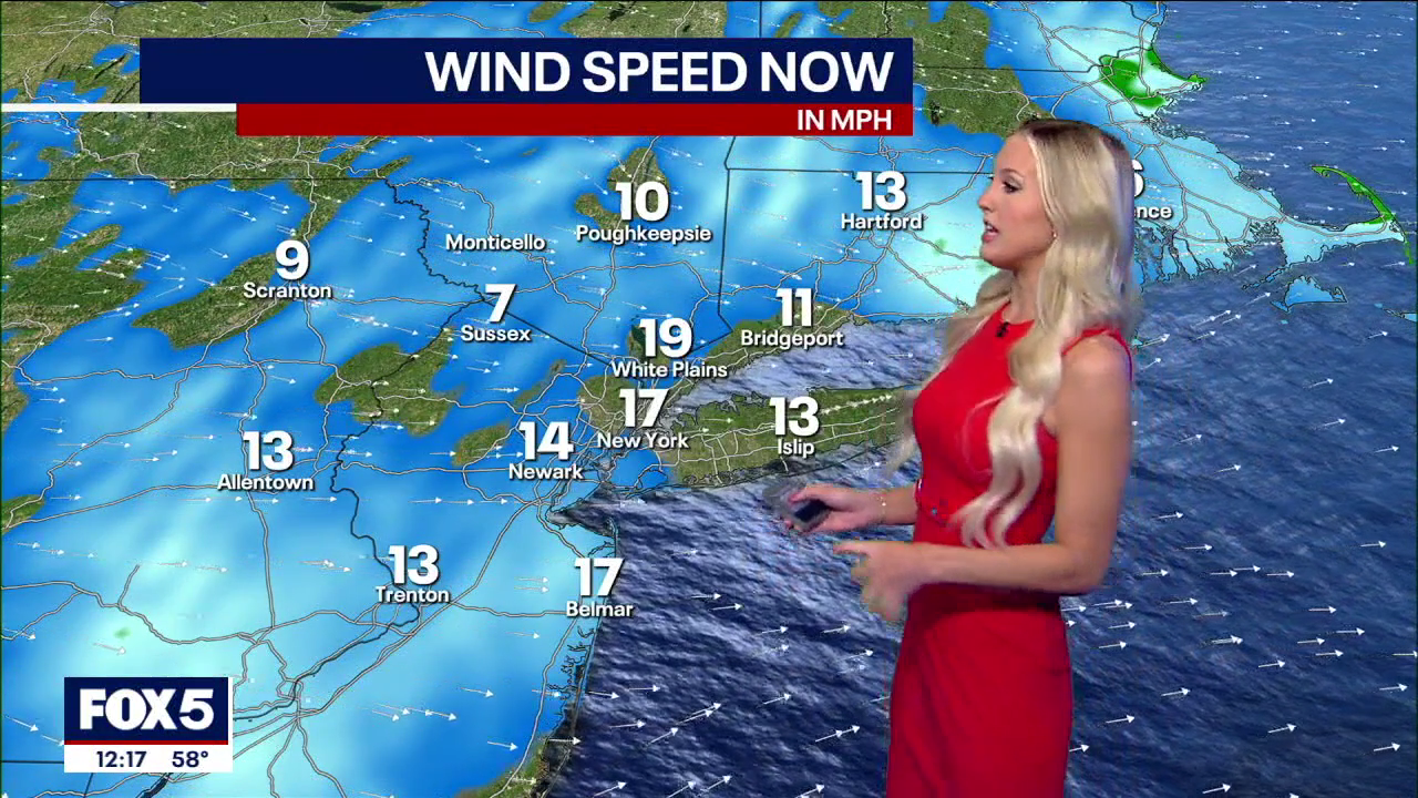 The Noon 2024-03-12-1200 (06).png