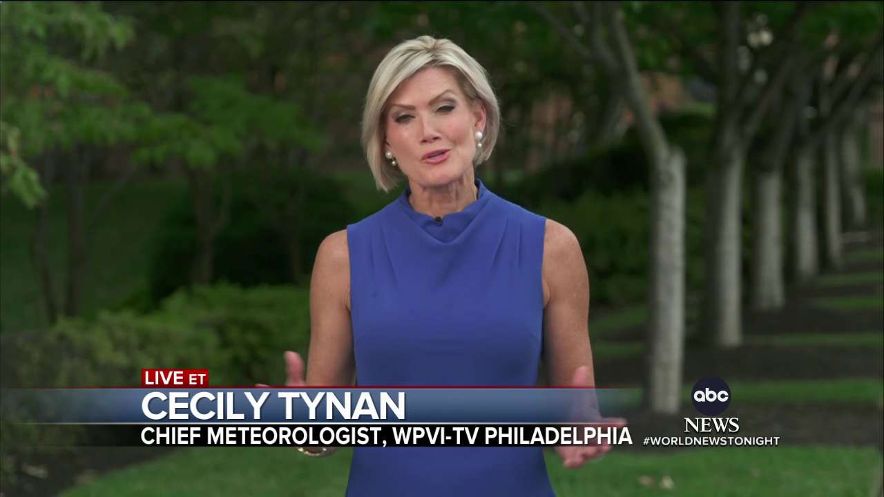 ABC World News Tonight With David Muir 2024-08-15-1830 (02).png