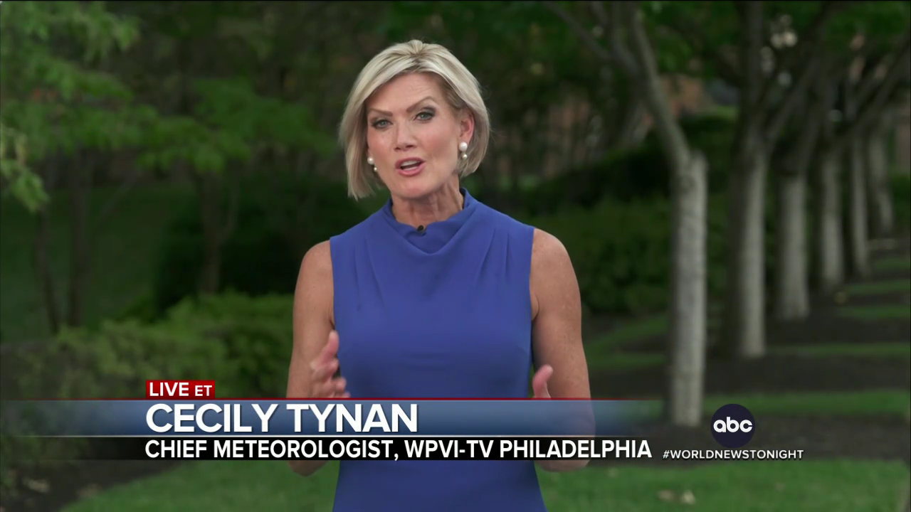 ABC World News Tonight With David Muir 2024-08-15-1830 (04).png