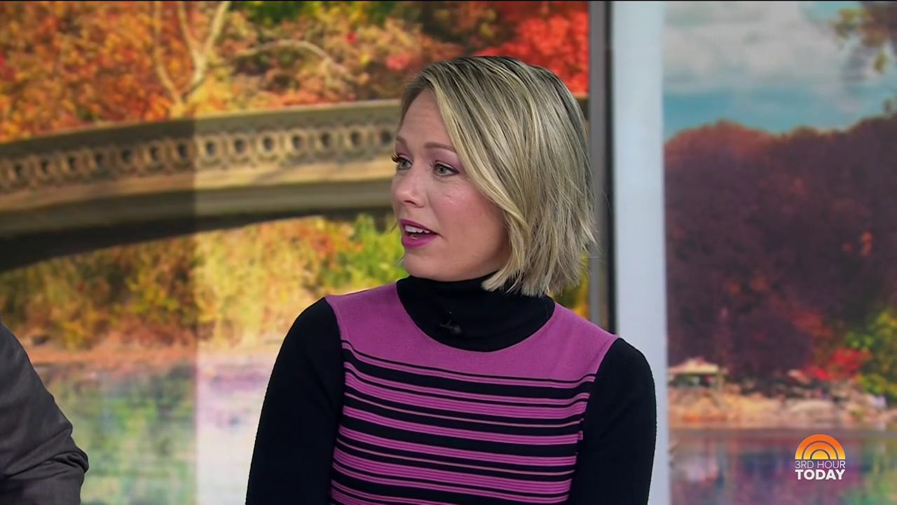 Today 3rd Hour S07E43 2024-11-21-0900 (07).png