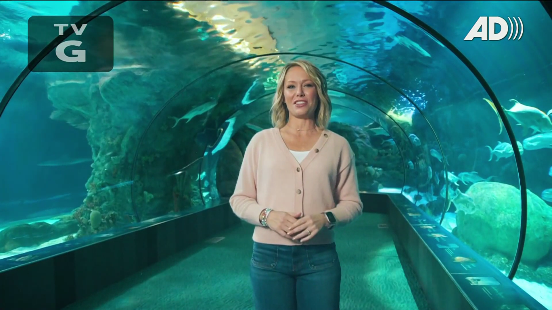 Earth Odyssey With Dylan Dreyer S07E20 Love Is a Battlefield 2025-05-10-1030 (22).png