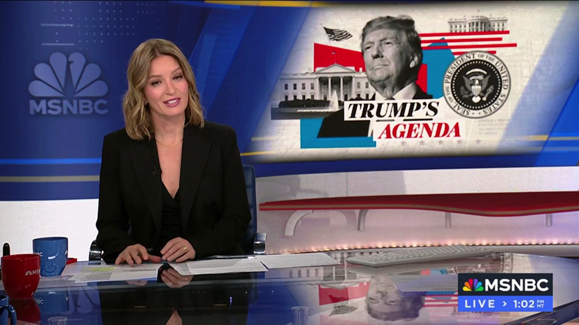 Katy Tur (5/29/2025) — Newswomen