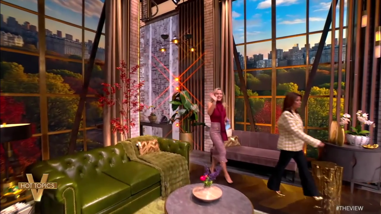 The View S29E05 2025-09-12-1100.png