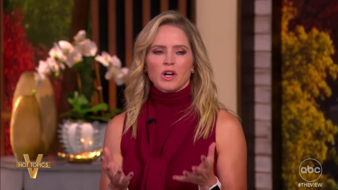 The View S29E05 2025-09-12-1100 (14).png